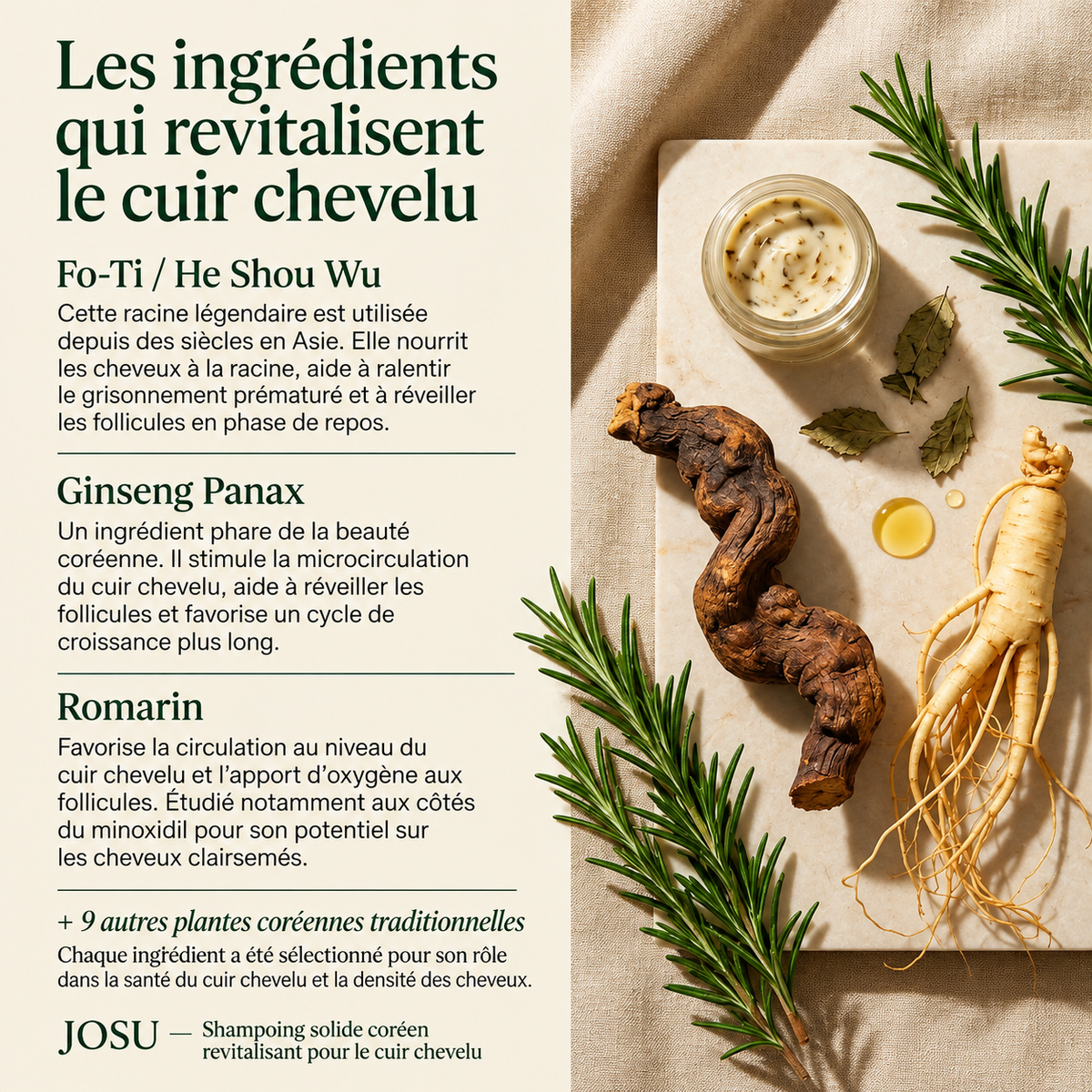 Shampoing Coréen Revitalisant